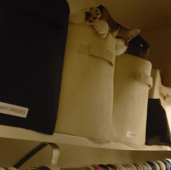 Meet your Posher, Wendie - Picture 4 of 8